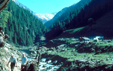 Trekking in the Dhauladhars