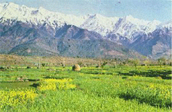 Kangra Valley